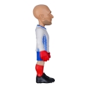 MINIX WC LEGENDS RANSKA - FABIEN BARTHEZ MINIX WC LEGENDS RANSKA - FABIEN BARTHEZ