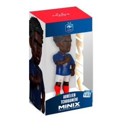 MINIX FRANCE - АУРЕЛЬЕН ТЧУАМЕНИ