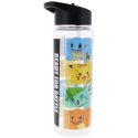 Lasten Pokemon-juomaholkki | 750ml Lasten Pokemon-juomaholkki | 750ml