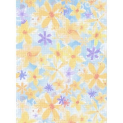 Beldizart Dizainerio drobė Aida 14 30x40 cm SKD14-138