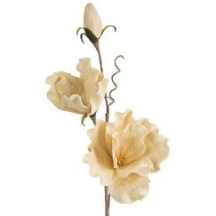 Eurofirany KW/FLORE/791/J.B J.BEIGE