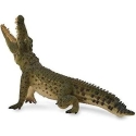 Collecta figūrėlė Nilo krokodils (XL) Collecta figūrėlė Nilo krokodils (XL)