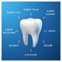 Oral-B Pasta Pro-Expert jautri dantys Oral-B Pasta Pro-Expert jautri dantys