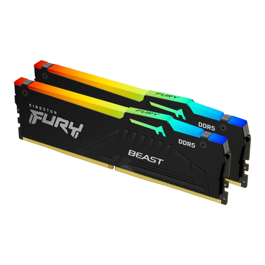 Kingston Technology Kingston Technology FURY Beast