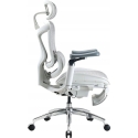 Sihoo DORO C300 Pro Mesh with footrest white