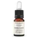 Hajusteiden talo Erbolinea Zenzero E Limone ERBS60006, 10 ml Hajusteiden talo Erbolinea Zenzero E Limone ERBS60006, 10 ml