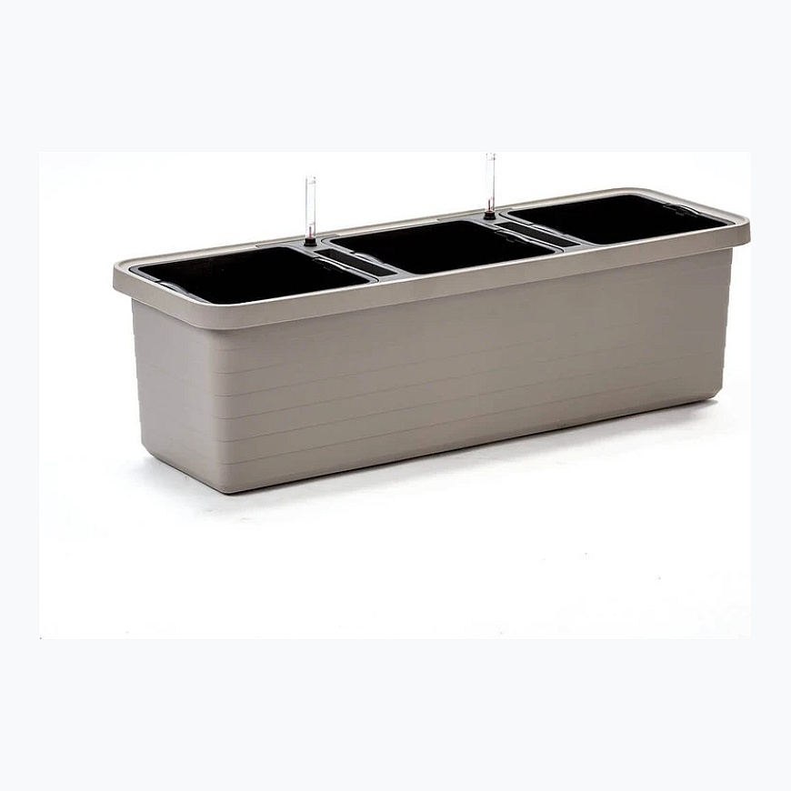 TRIO URBALIVE BERBERIS TRIO puķu pods