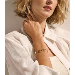 Skagen auksu dengtas apyrankė Moderne Ikon SKJ1901710
