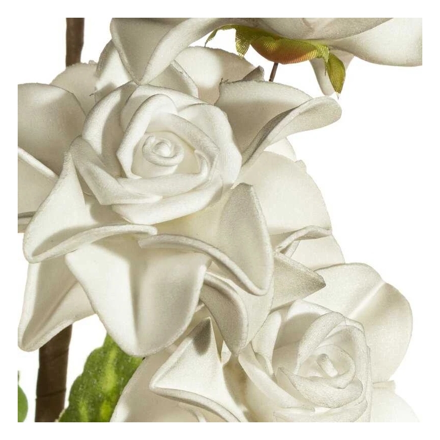 Eurofirany KW/FLORE/865/POP POPI – 2