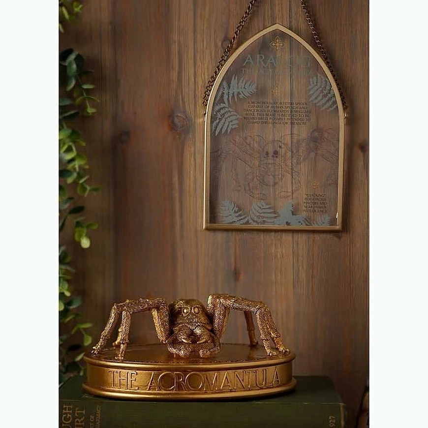 Widdop Co Harry Potter Aragog figūra 7 cm – 4