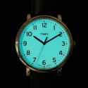 Kellidus Timex Meeste stiilis T2N338 Kellidus Timex Meeste stiilis T2N338