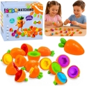 Sorter Morkos vormimise kogum 12 tükki. Sorter Morkos vormimise kogum 12 tükki.