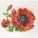 Alisa Beldizart Poppy S0-80