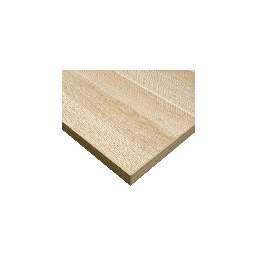 Spacetronik Galda virsma 100x60x2.5 cm