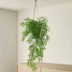 Atmosphera Kabantis Bamboo in Pot LIORA, 67 cm