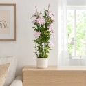 Beliani Dirbtinė vazoninė gėlė BLOMMA, 98 cm
