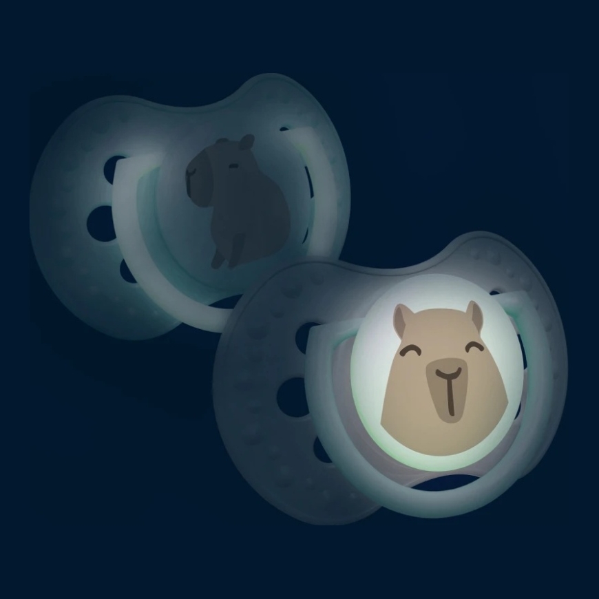 LOVI DYNAMIC SILICONE Pacifier 6-18m 2pcs CAPICHILL LUMINOUS – 3