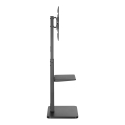 Equip 650613 TV-kiinnike 190,5 cm (75") musta