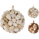 Mondex DECORATIVE ROUND SHELLS 12CM 2 types