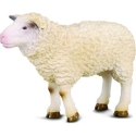 Collecta figūrėlē avis (M) Collecta figūrėlē avis (M)
