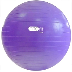 Profit 55 cm Gym Ball Purple with Pump DK 2102