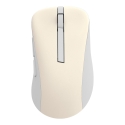 Asus MD102 Mouse/BG Asus MD102 Mouse/BG
