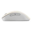 Asus MD102 Mouse/BG Asus MD102 Mouse/BG