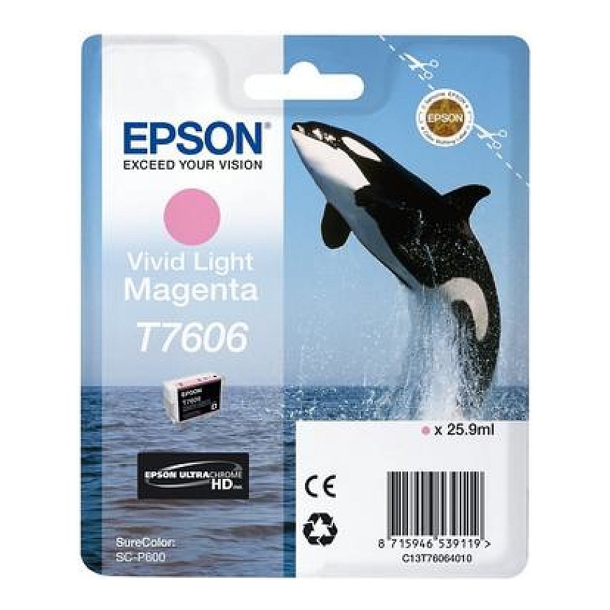 Epson C13T76064N10 rašalo kasetė 1 vnt Originalus Šviesi Magenta