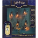 Harry Potter - Potion Bottle String LED Light Harry Potter - Potion Bottle String LED Light