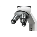 Mikroskopas Opticon Genius