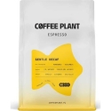 Coffee Plant KAVOS AUGALAS - Мягкий Эспрессо Без Кофеина 250г Coffee Plant KAVOS AUGALAS - Мягкий Эспрессо Без Кофеина 250г