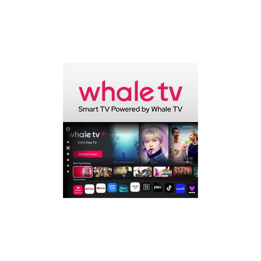 MEGASAT „Royal Line V 22“ išmanusis televizorius „WhaleTV“ – 3