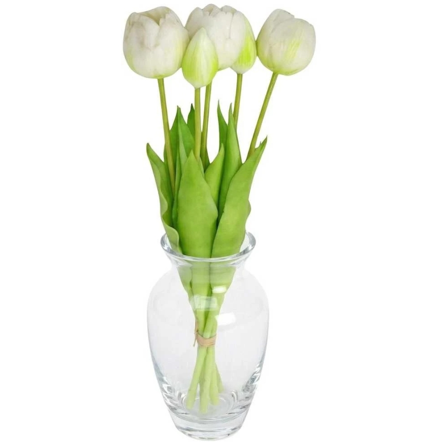 Saska Garden valge tulp pojengikimp 39 cm