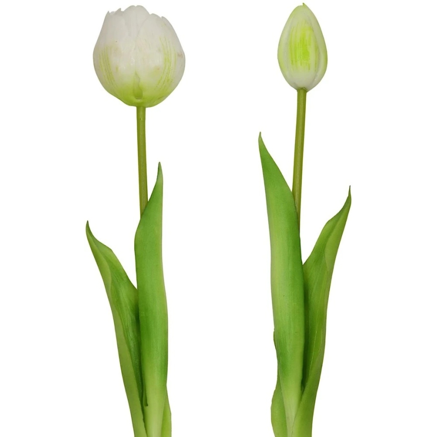 Saska Garden balta tulpinė bijūnė puokštė 39 cm – 4