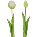 Saska Garden valge tulp pojengikimp 39 cm Saska Garden valge tulp pojengikimp 39 cm