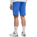 Šortai vyrams Puma ESS No.1 Logo 10" (s) mėlyna 682595 13 (2XL) Šortai vyrams Puma ESS No.1 Logo 10" (s) mėlyna 682595 13 (2XL)