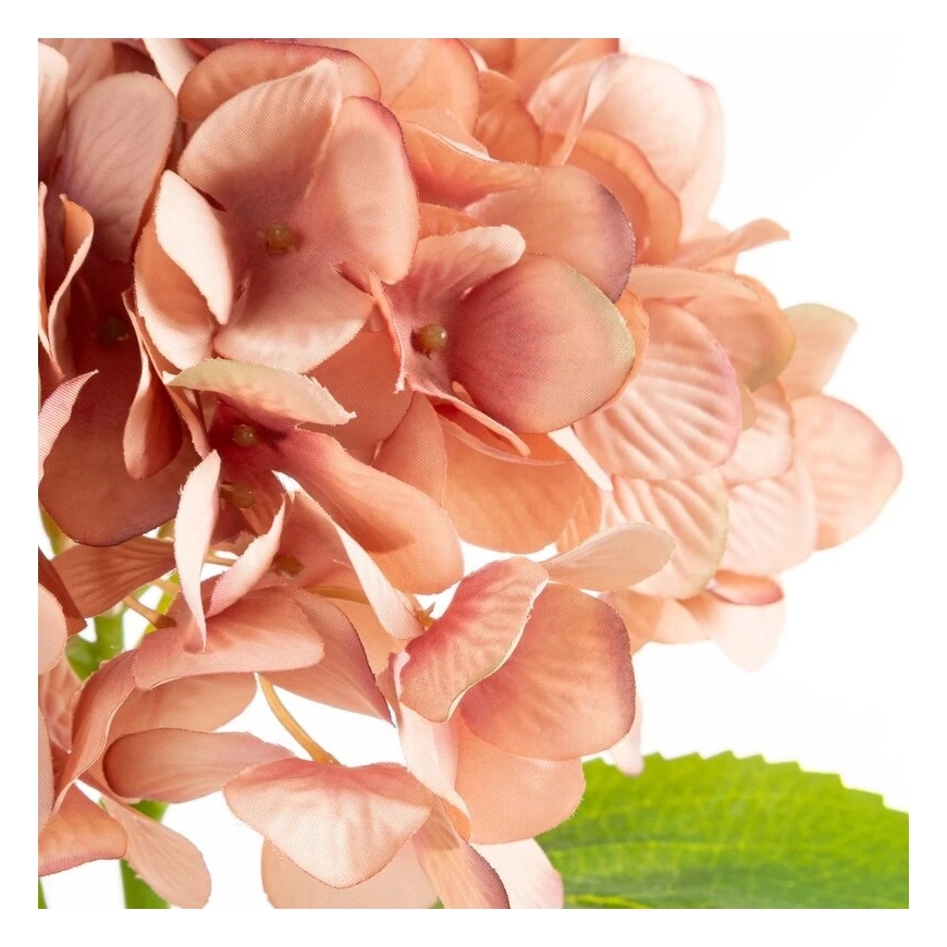 Eurofirany KW/NATU/270/PINK PINK+VIOLET – 2