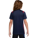 Детская футболка Nike Paris Saint-Germain Academy Pro темно-синий II1664 410 (S) Детская футболка Nike Paris Saint-Germain Academy Pro темно-синий II1664 410 (S)