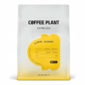 Coffee Plant KAVOS AUGALAS - Flower Essence Espresso Coffee 250g Coffee Plant KAVOS AUGALAS - Flower Essence Espresso Coffee 250g