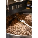 Coffee Plant KAVOS AUGALAS - Kukkaesanssi espresso-kahvia 250g Coffee Plant KAVOS AUGALAS - Kukkaesanssi espresso-kahvia 250g