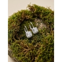 Brilio Silver Elegant Silver Earrings with Clear Zirconia EA1274W Brilio Silver Elegant Silver Earrings with Clear Zirconia EA1274W