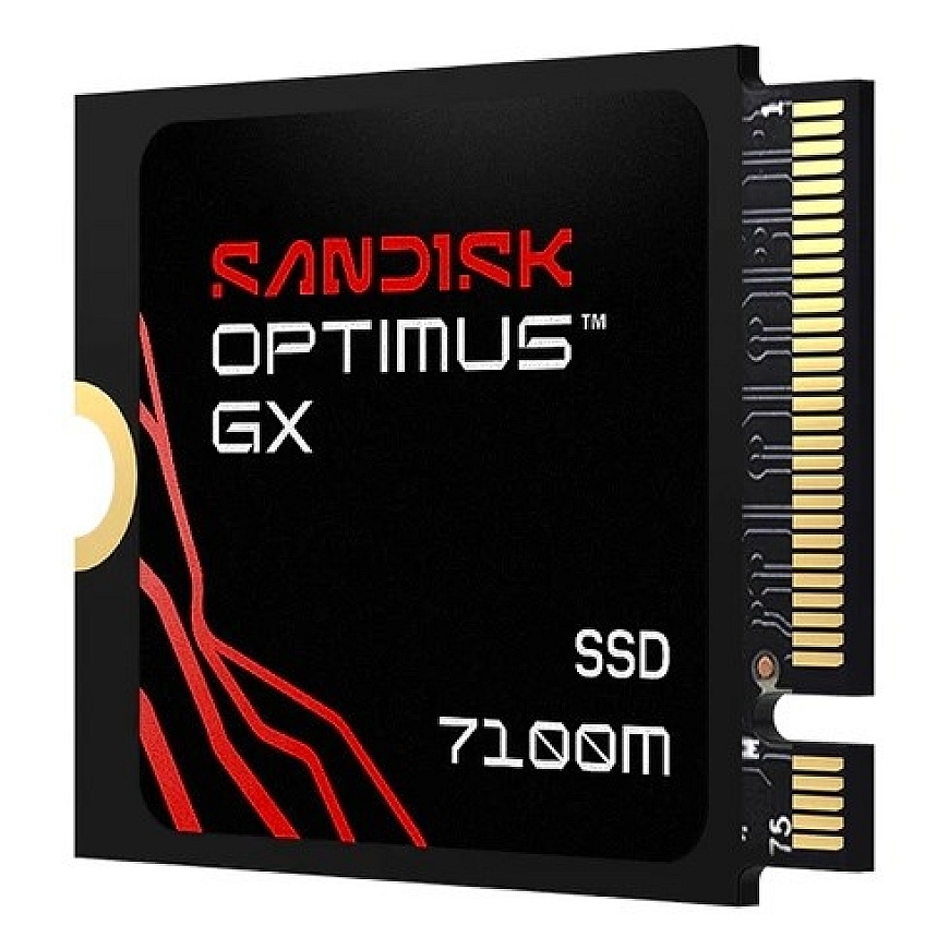SanDisk Optimus GX 7100M 1 TB M.2 PCI Express 4.0 NVMe TLC 3D NAND – 2