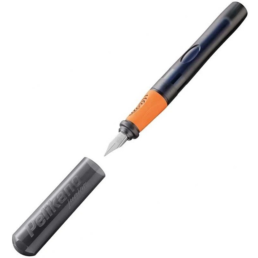 Plunksnakotis JUNIOR, Pelikan, A iridija spalva, melna, kastē