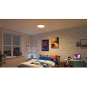 Philips Smart Lighting laevealuz, 24 W, W, RD 27-65, RGB, TW Philips Smart Lighting laevealuz, 24 W, W, RD 27-65, RGB, TW