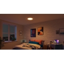 Philips Smart Lighting laevealuz, 24 W, W, RD 27-65, RGB, TW Philips Smart Lighting laevealuz, 24 W, W, RD 27-65, RGB, TW