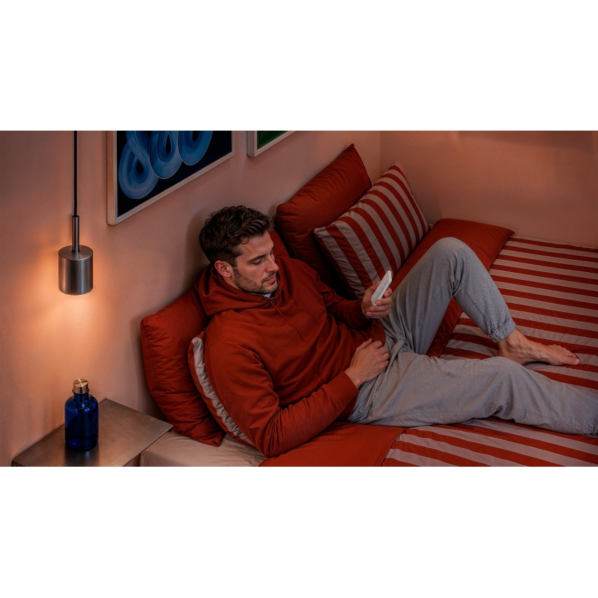 Philips Smart Lighting Smart Dimmer Switch – 4