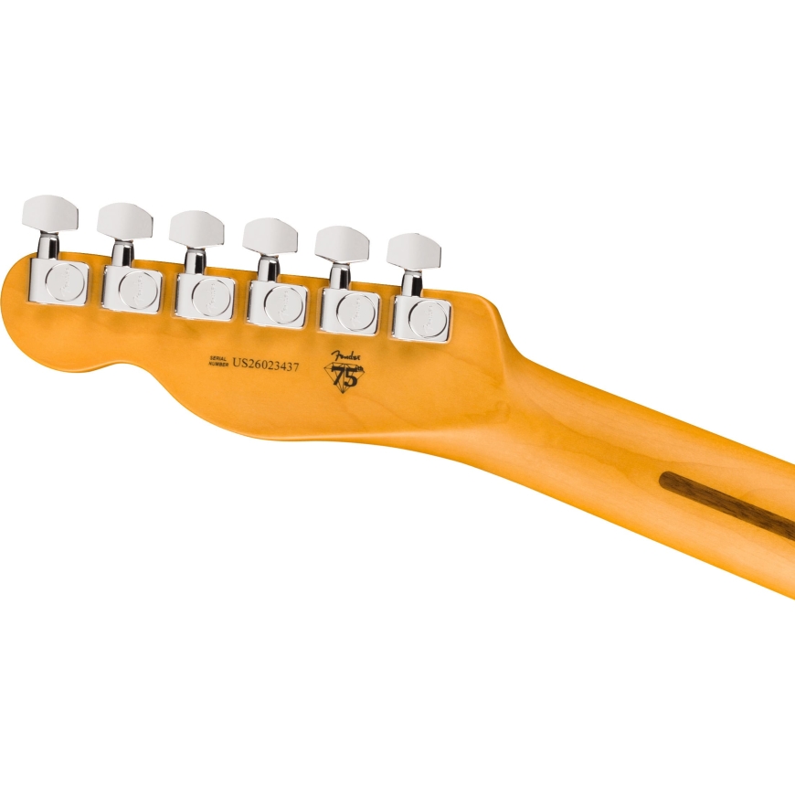 Fender American Professional Hot Shot Telecaster® elektriskā ģitāra, Tumšā Nakts – 5