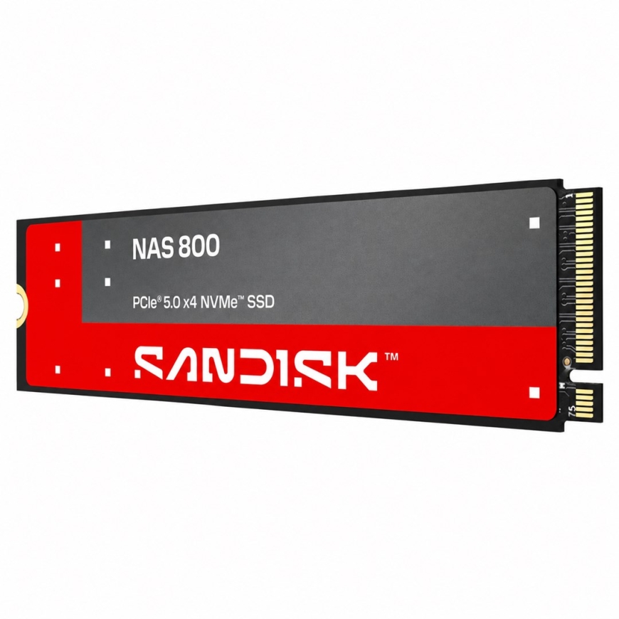 SANDISK 3,84 TB NAS 800 NVMe™ SSD SDSNP2384TAN – 2