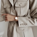 Daniel Wellington DW00100211 Sieviešu Pulksteņi - Iconic Link (zx706a)