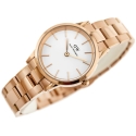 Daniel Wellington DW00100211 Naisten Kello - Iconic Link (zx706a)